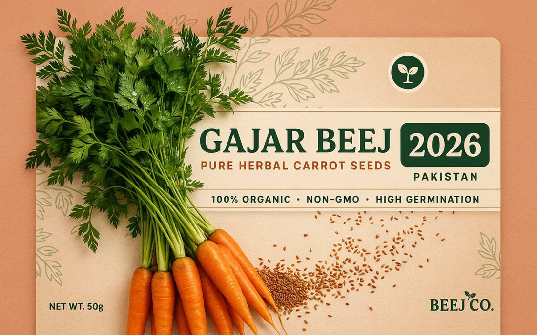 Carrot Seed Price in Pakistan 2026: Pure Herbal Gajar Beej