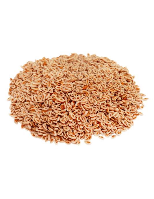 Ispaghol Psyllium Seeds